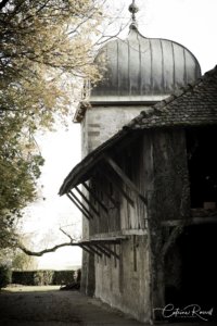 Tour médiévale du Château
