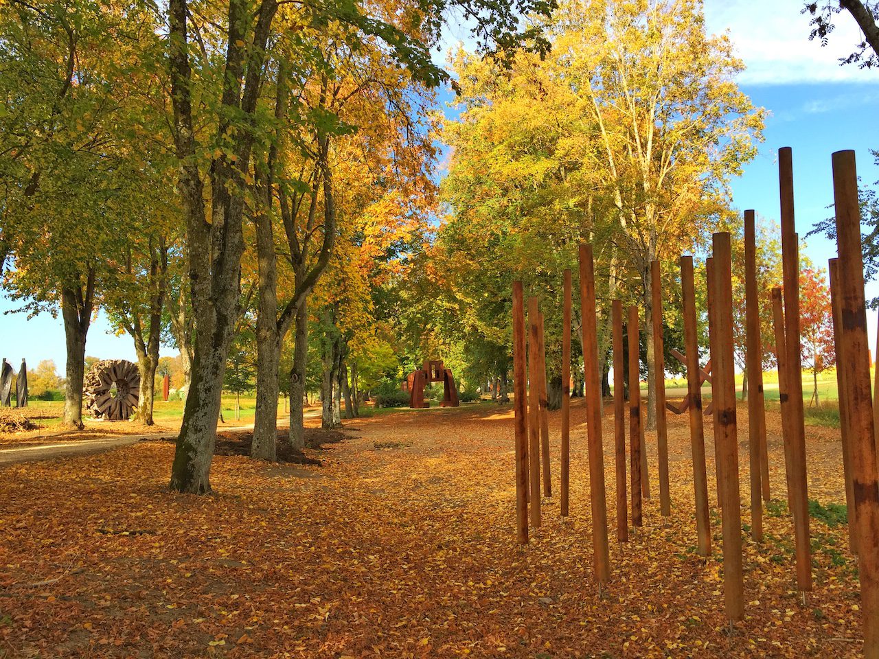 Vue large de l'allée cavalière du Château de Vullierens en automne, les couleurs sont dorées et oranges grâce aux feuilles qui se trouvent par terre et sur les branches des arbres centenaires.