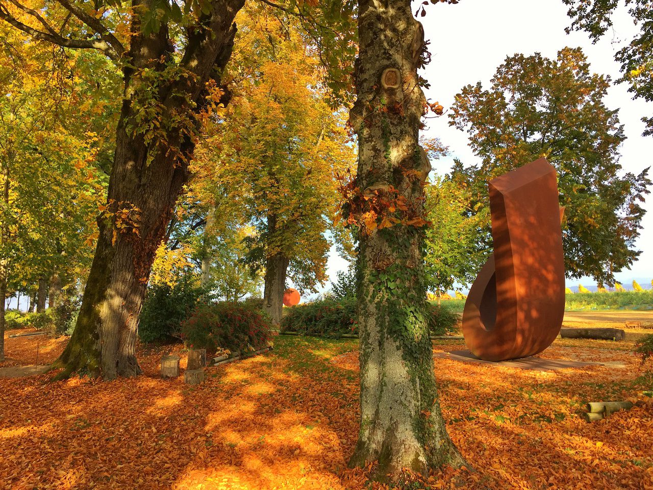 Vue large du jardin de Muni du Château de Vullierens recouvert de feuilles oranges au sol.