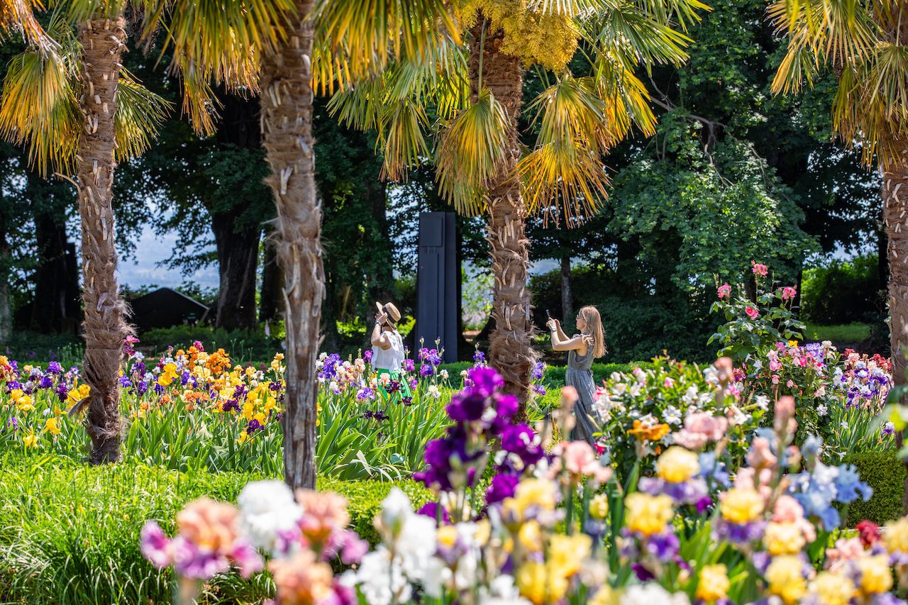 Deux femmes en train de se prendre en photo parmi les iris en fleurs dans le jardin de Doreen du Château de Vullierens.