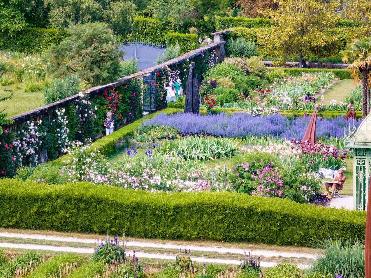 Vue aérienne du jardin de Doreen du Château de Vullierens lors de la floraison de juin : roses, lavande et iris en fleurs.