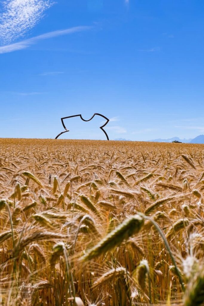 Silhouette, sculpture contemporaine de Markus Graf et Gabriel Mazenauer, est exposée le long d'un champ de blé, au Château de Vullierens.