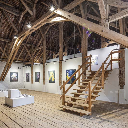 Galerie d'art du Château de Vullierens avec des peintures d'iris exposées au mur.