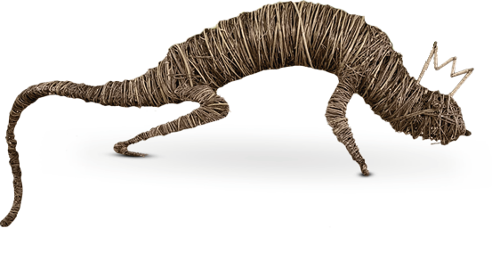 Roi lézard en branchage.