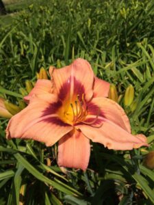 Foto von Along The Way