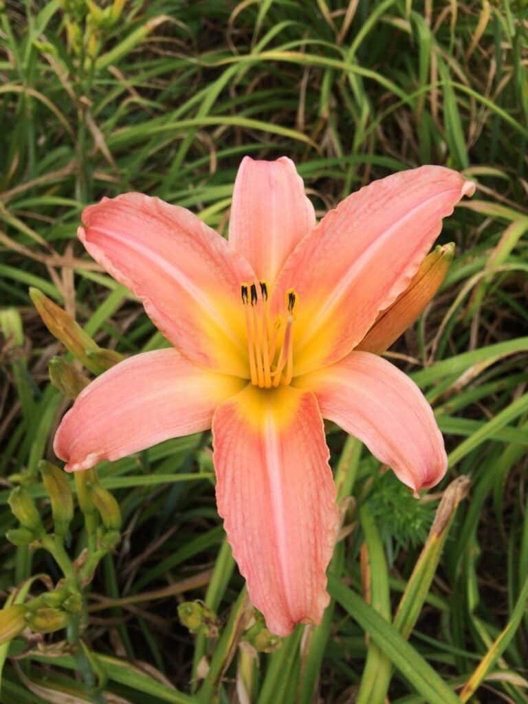 Foto von Autumn Whisper