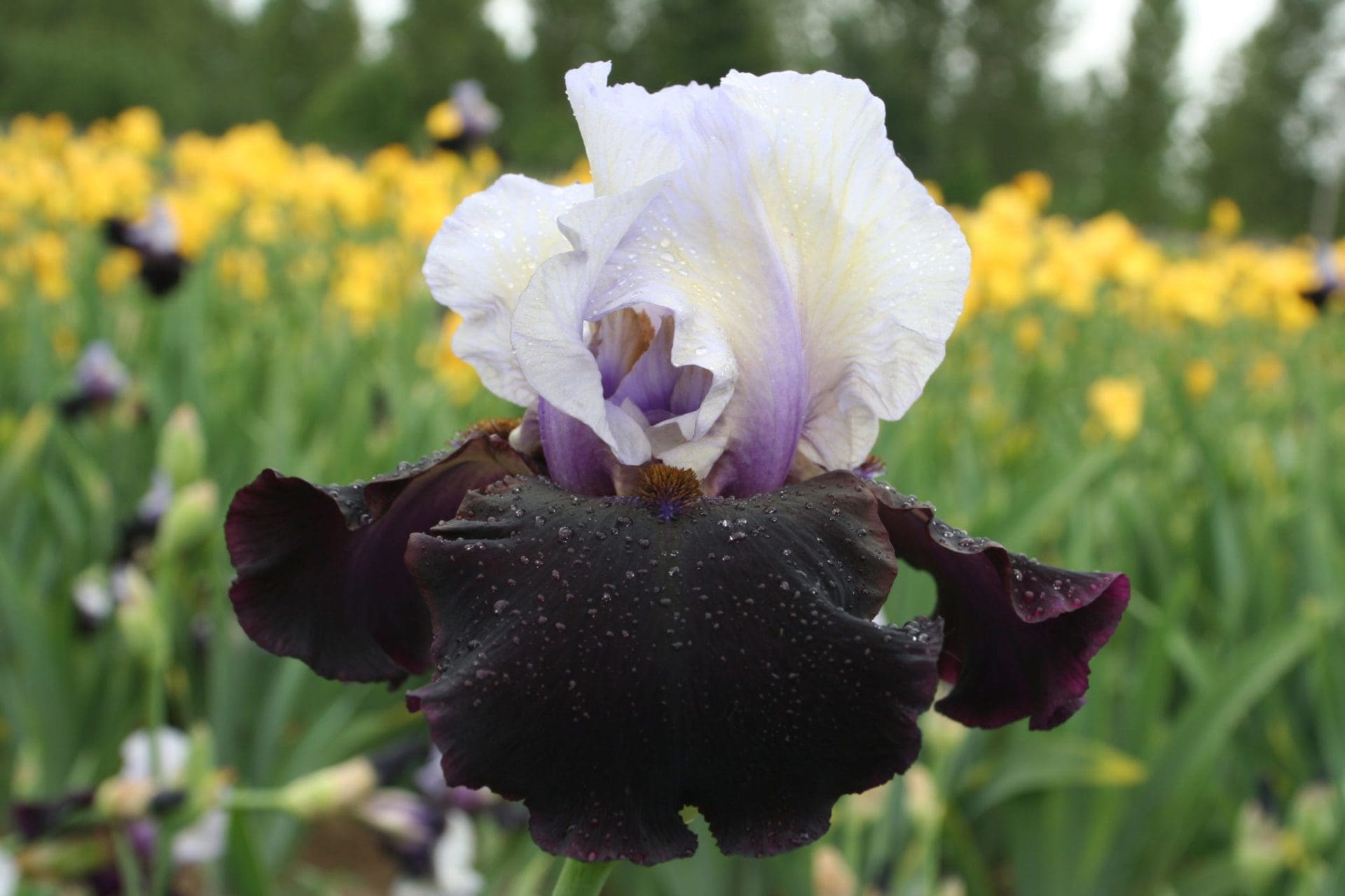 Foto von Better Together