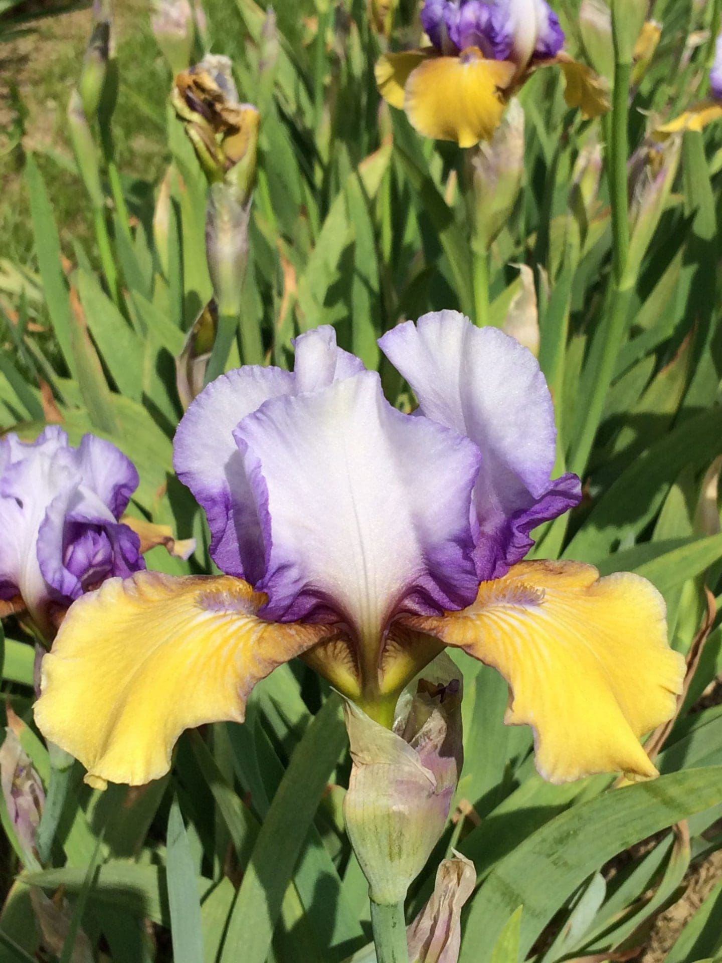 Foto von Bold Statement