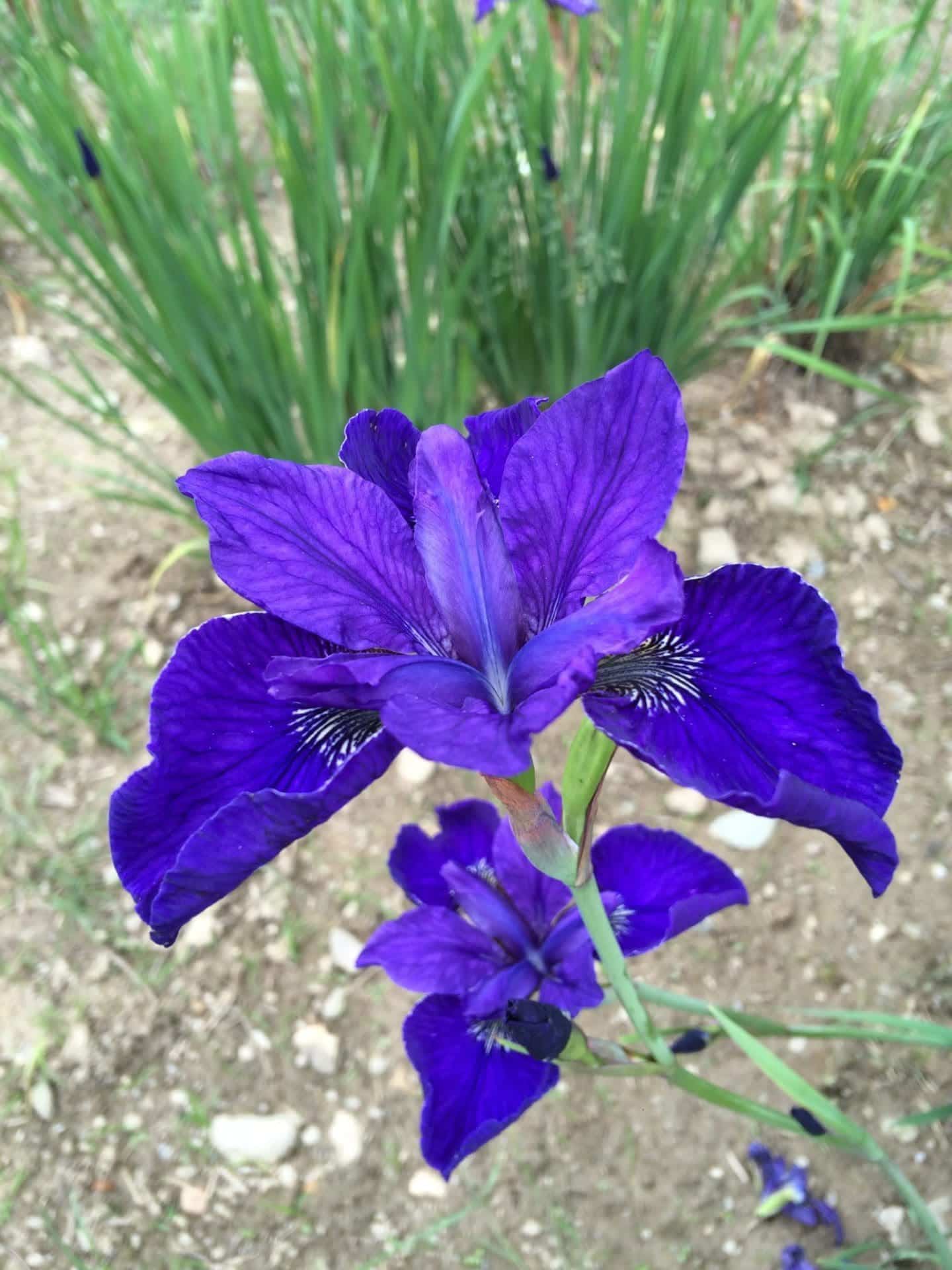 Foto von Breaking Spires