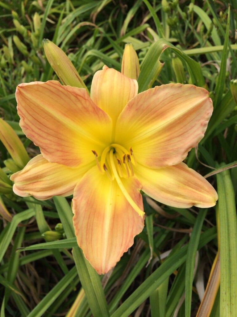 Foto von Bud Producer