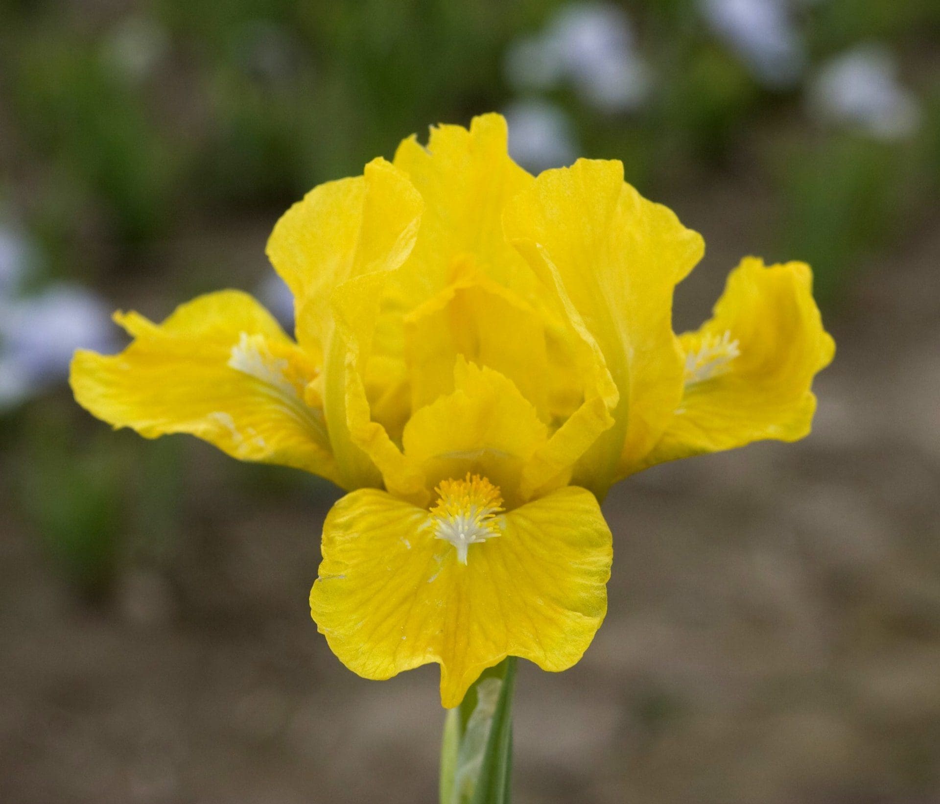 Foto von Cache Of Gold - R