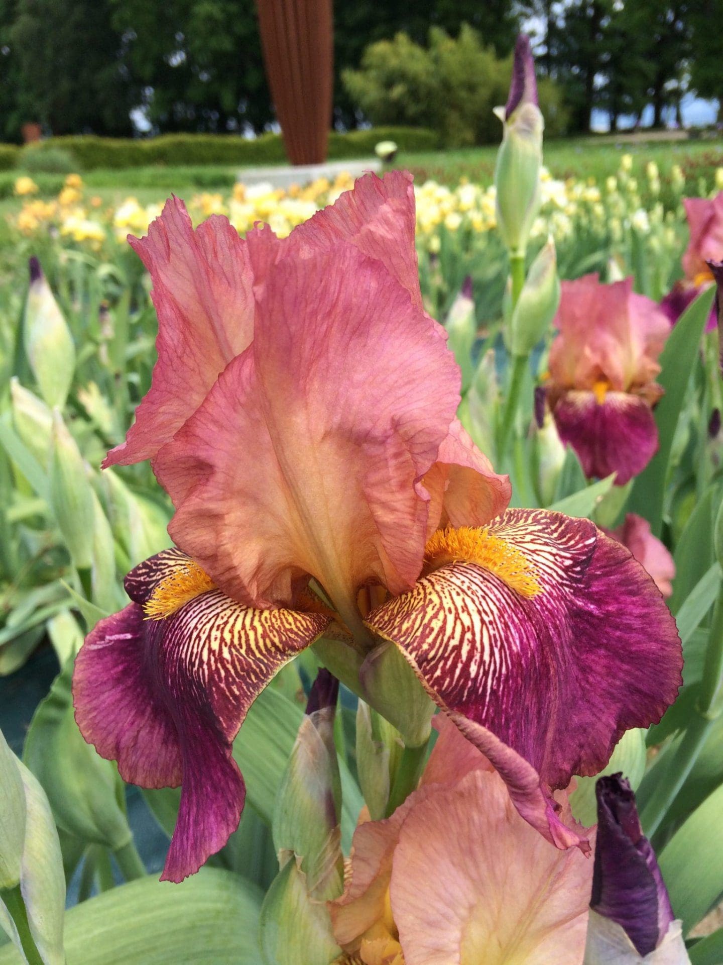 Photo de Daria-Louise