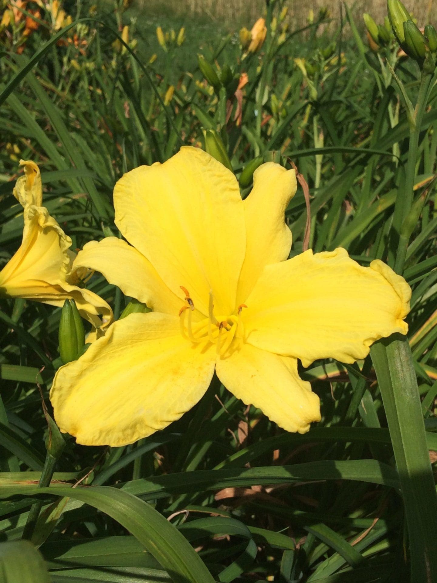 Foto von Hudson Valley