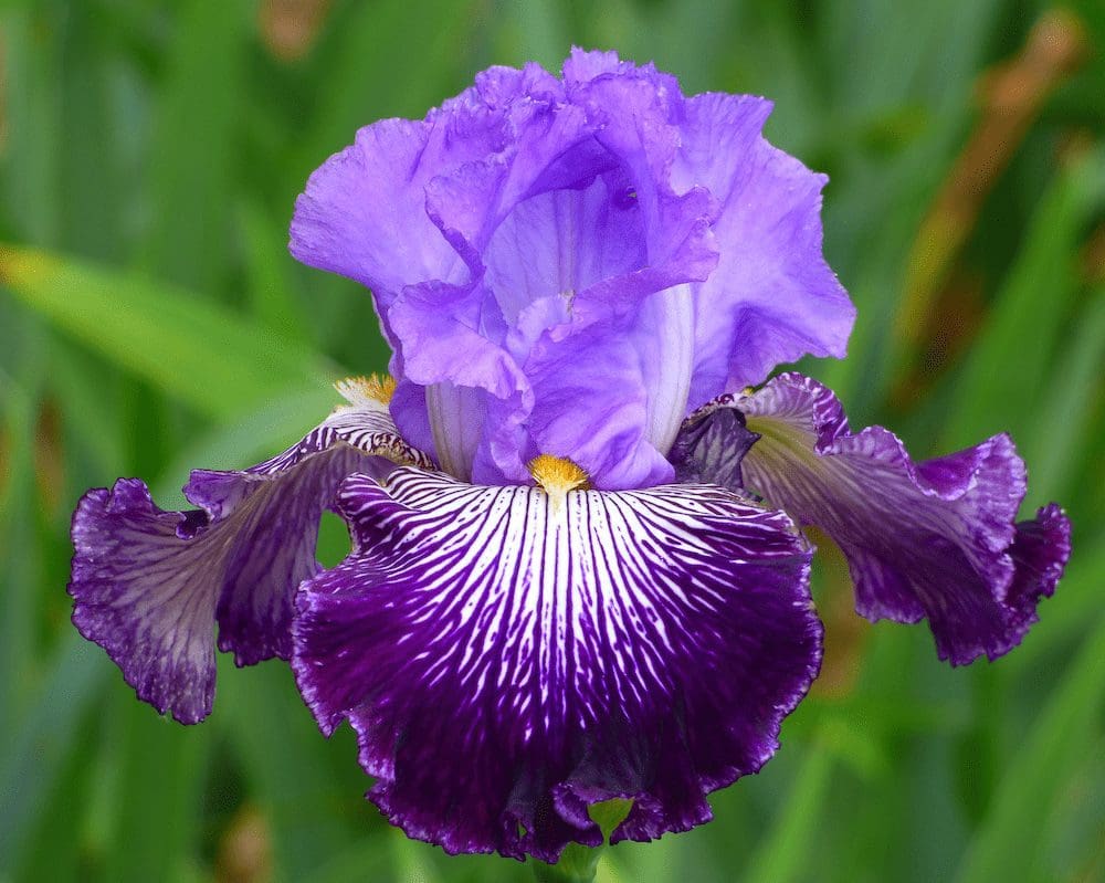 Foto von Jawbone Flats