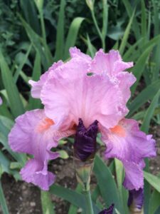 Foto von Jennifer Rebecca - R