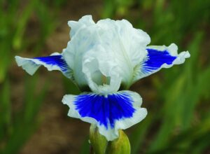 Foto von Open Your Eyes