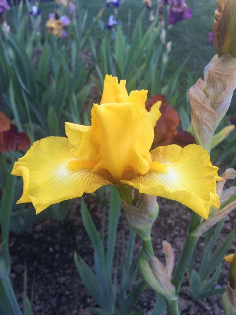 Foto von Pocket Size