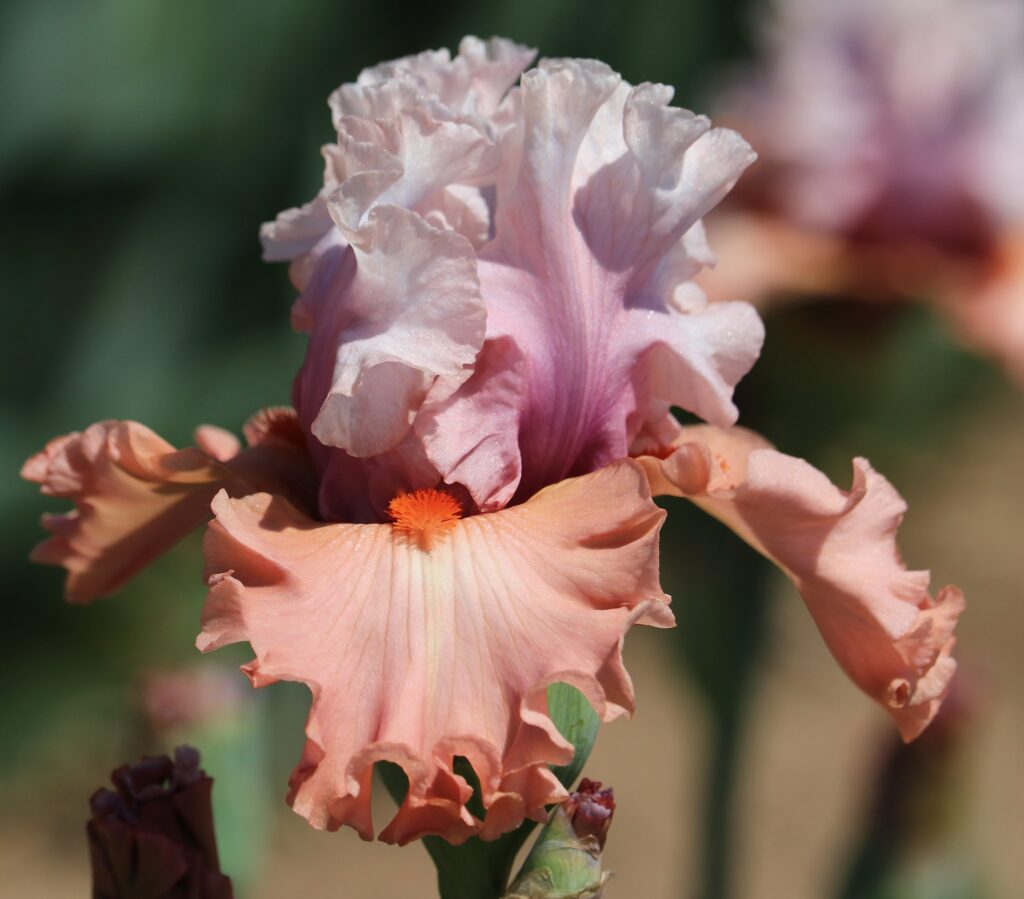 Foto von Pretty Rich