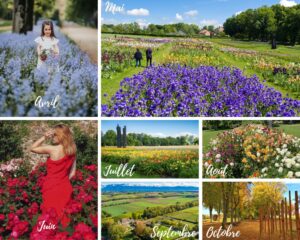 Montage of 7 photos illustrating the 7 opening seasons of the Château de Vullierens with the different flagship flowers in bloom.