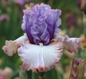 Foto von Rest Of The Story