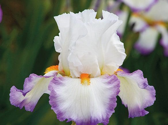 Foto von Starting Fresh