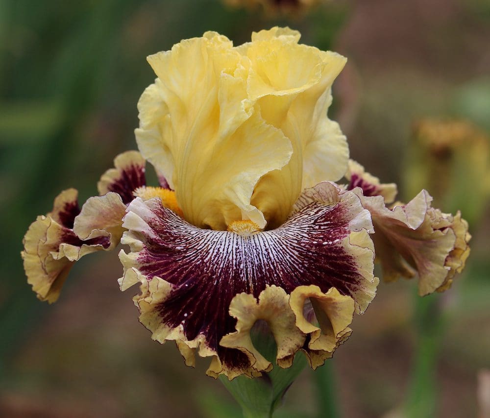 Foto von This Is Crazy