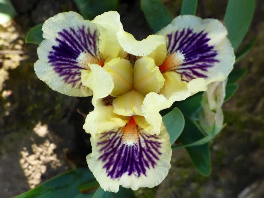 Photo of Wait For Me