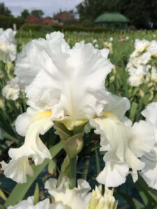 Foto von What'S Your Name