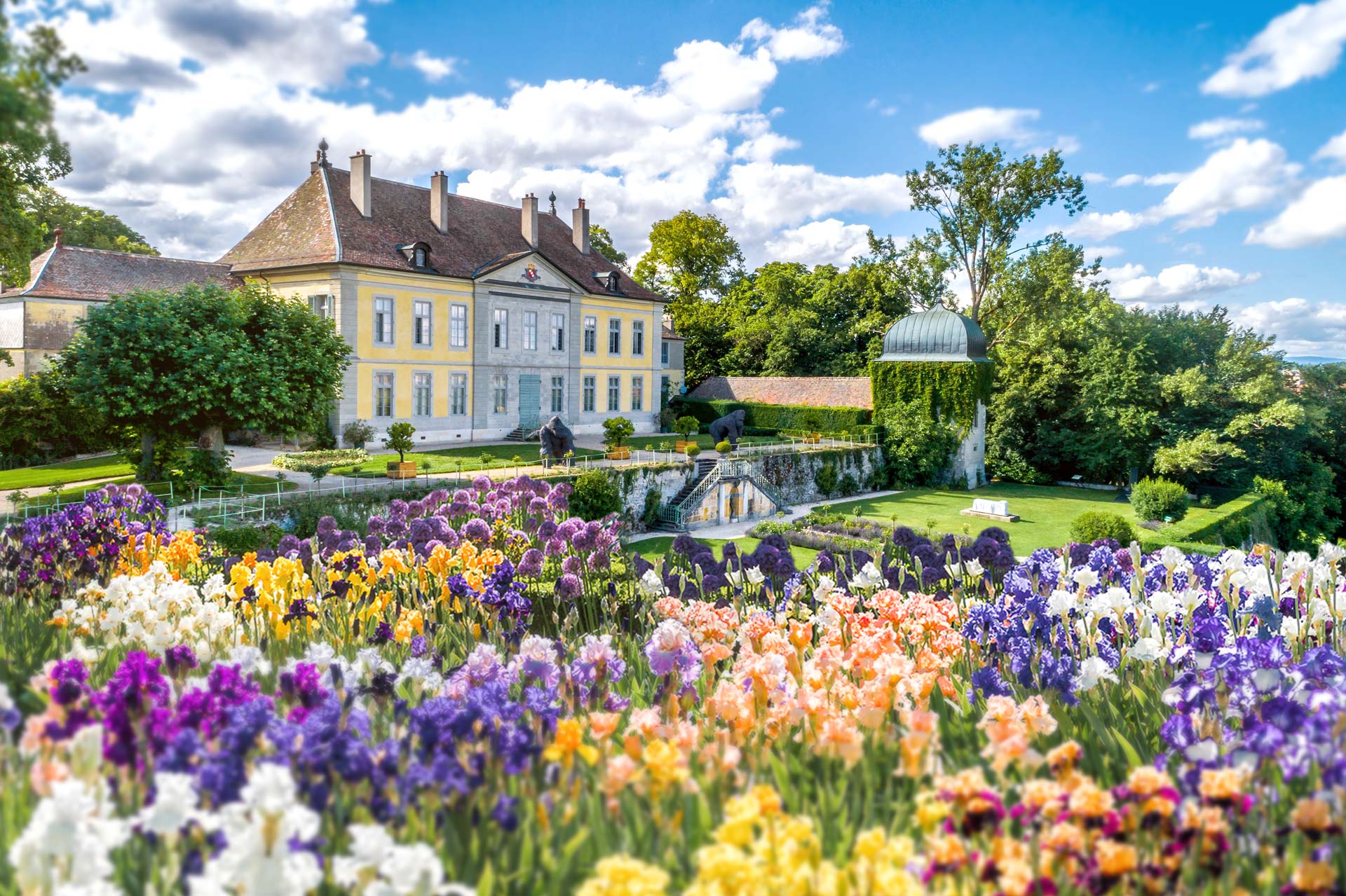 Montage photo illustrant le Château de Vullierens en arrière plan avec un parterre d'iris et d'alliums.