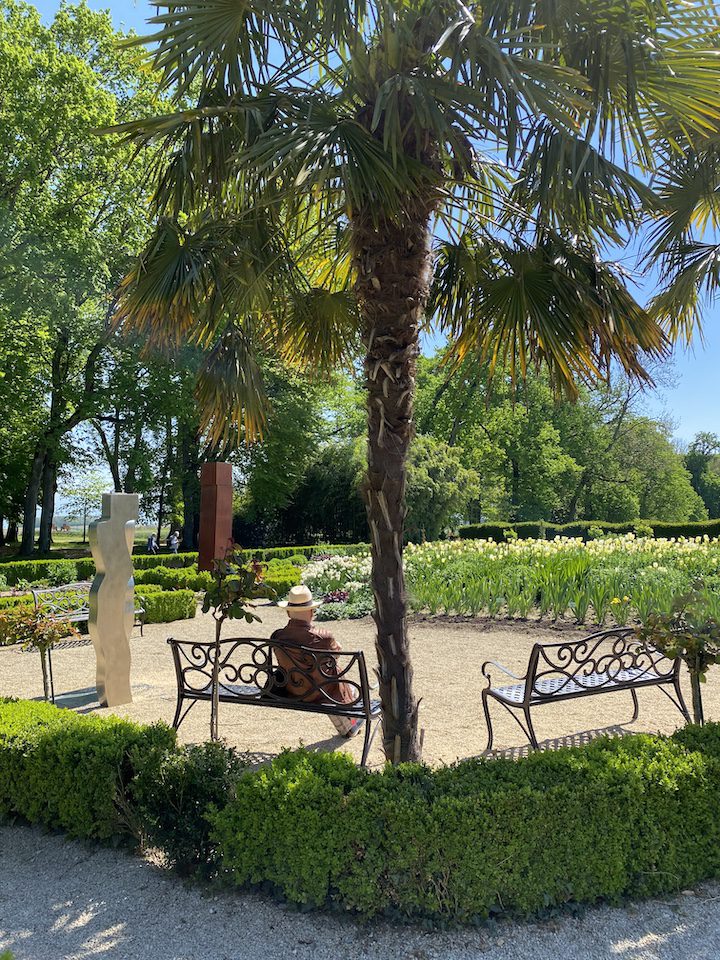 Une homme assis sur un banc en train de profiter du soleil de d&eacute;but de saison dans le jardin de Doreen. Les tulipes blanches sont en fleurs.
