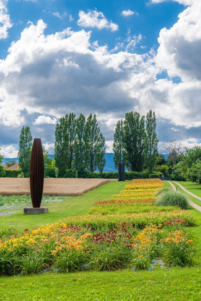Vue large des plantations de lys-hémérocalles du Château de Vullierens en pleine floraison en juillet.