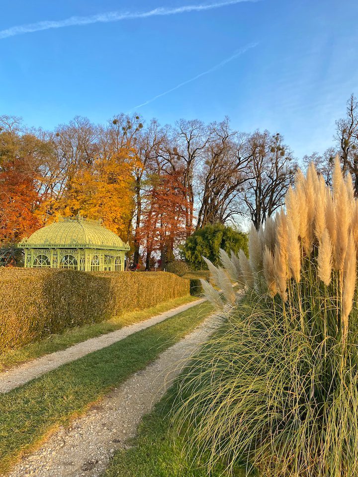 Arbres aux feuilles oranges et pampas en fleurs au mois d'octobre.