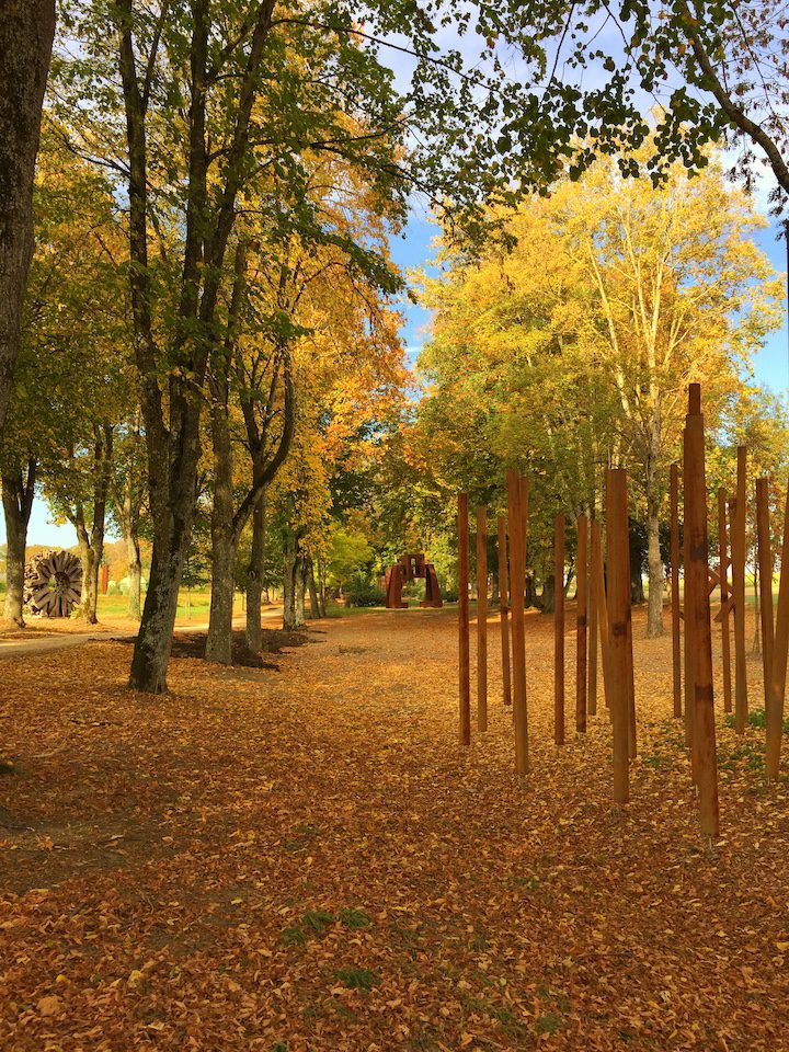 L'allée cavalière du Château de Vullierens est recouverte de feuilles orange grâce au feuillage d'automne.