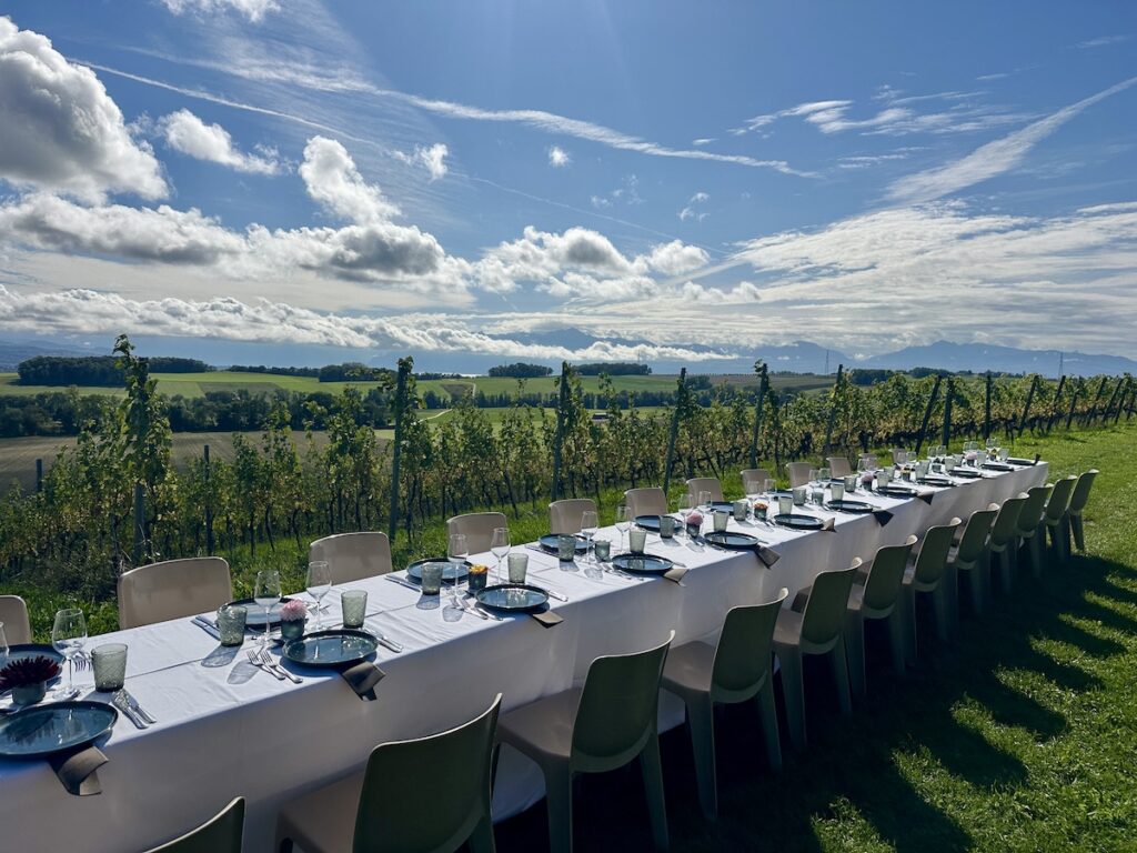 Grande tablée dans les vignes du Château de Vullierens lors d'un repas de midi d'automne.