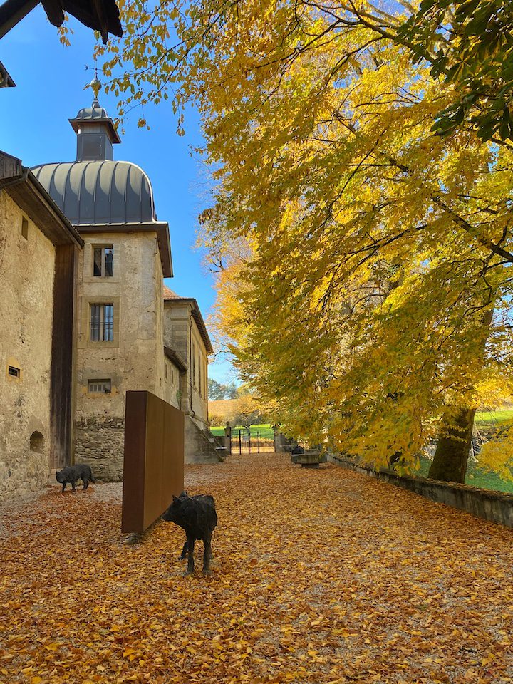 La tour médiévale du Château de Vullierens recouvert de feuilles orangée en automne.