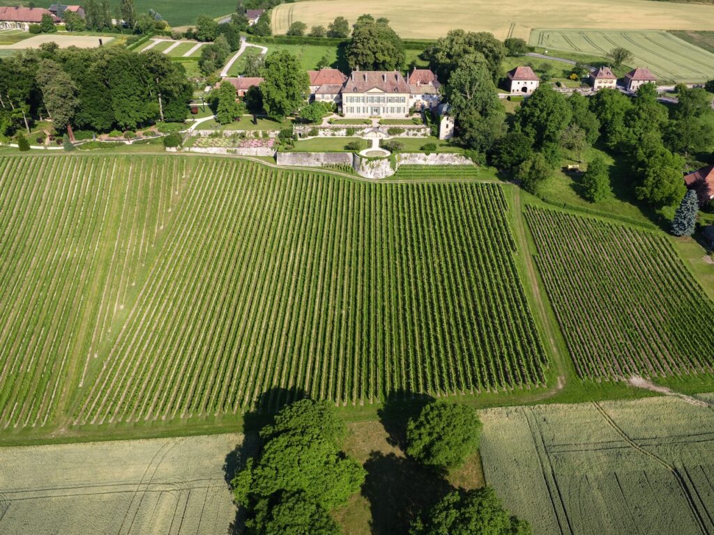 Vue aérienne du vignoble du Château de Vullierens au mois de juin par beau temps.