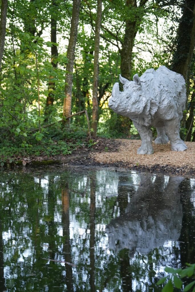 Le Rhinocéros de Davide Rivalta posant fièrement à côté du petit lac du bois du Château de Vullierens.
