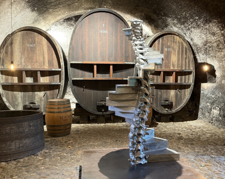 Oeuvre "Spina Scala" exposée dans les caves historiques du Château de Vullierens. Elle représente un squelette qui monte sous forme d'escalier.