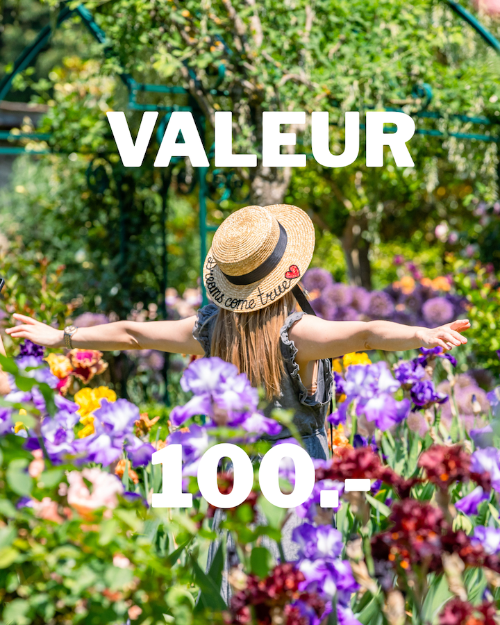 Bon cadeau d'une valeur de 100 francs. L'image utilisée est une femme écartant les bras au milieu du jardin d'iris avec un chapeau où il est inscrit "dreams come true".