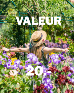 Bon cadeau d'une valeur de 20 francs. L'image utilisée est une femme écartant les bras au milieu du jardin d'iris avec un chapeau où il est inscrit "dreams come true".